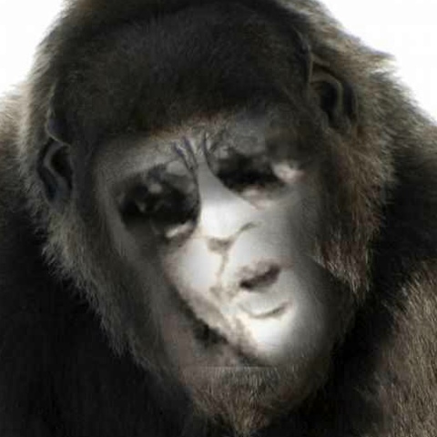 Александр Квасов