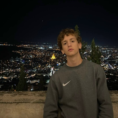 Давид Левин