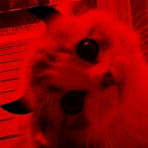 Родион Маркузов