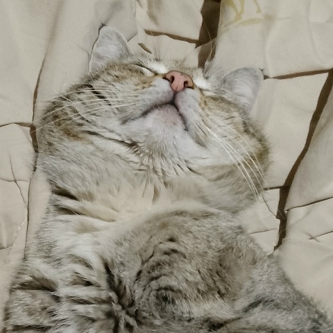 Максим Ольков