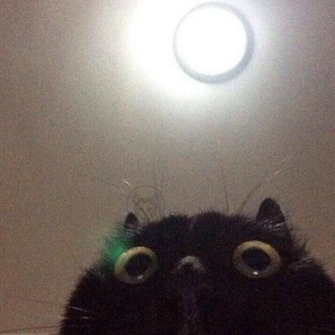 Федя Корнилов