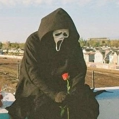 Денис Грибов