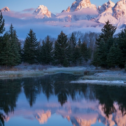 Саша Хамитов