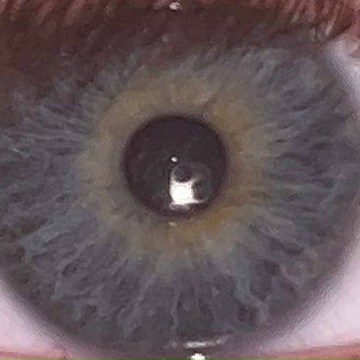 Носок Носков