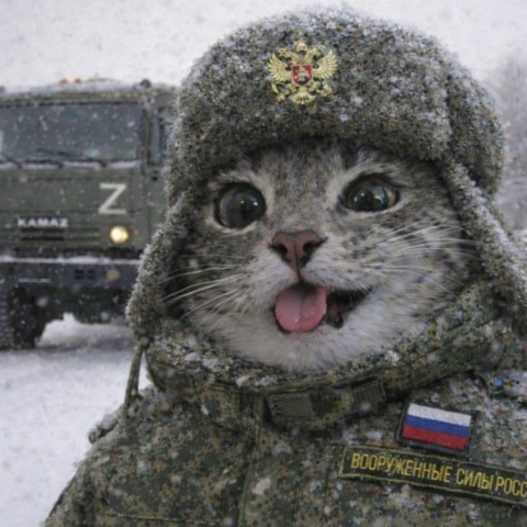 Тима Молодой