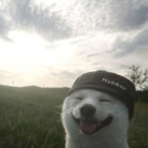 Keyni