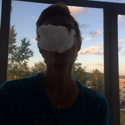 Дмитрий Фалалеев