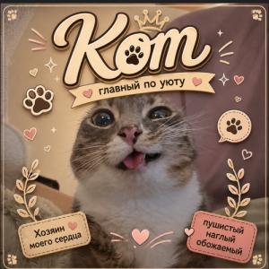 KoT